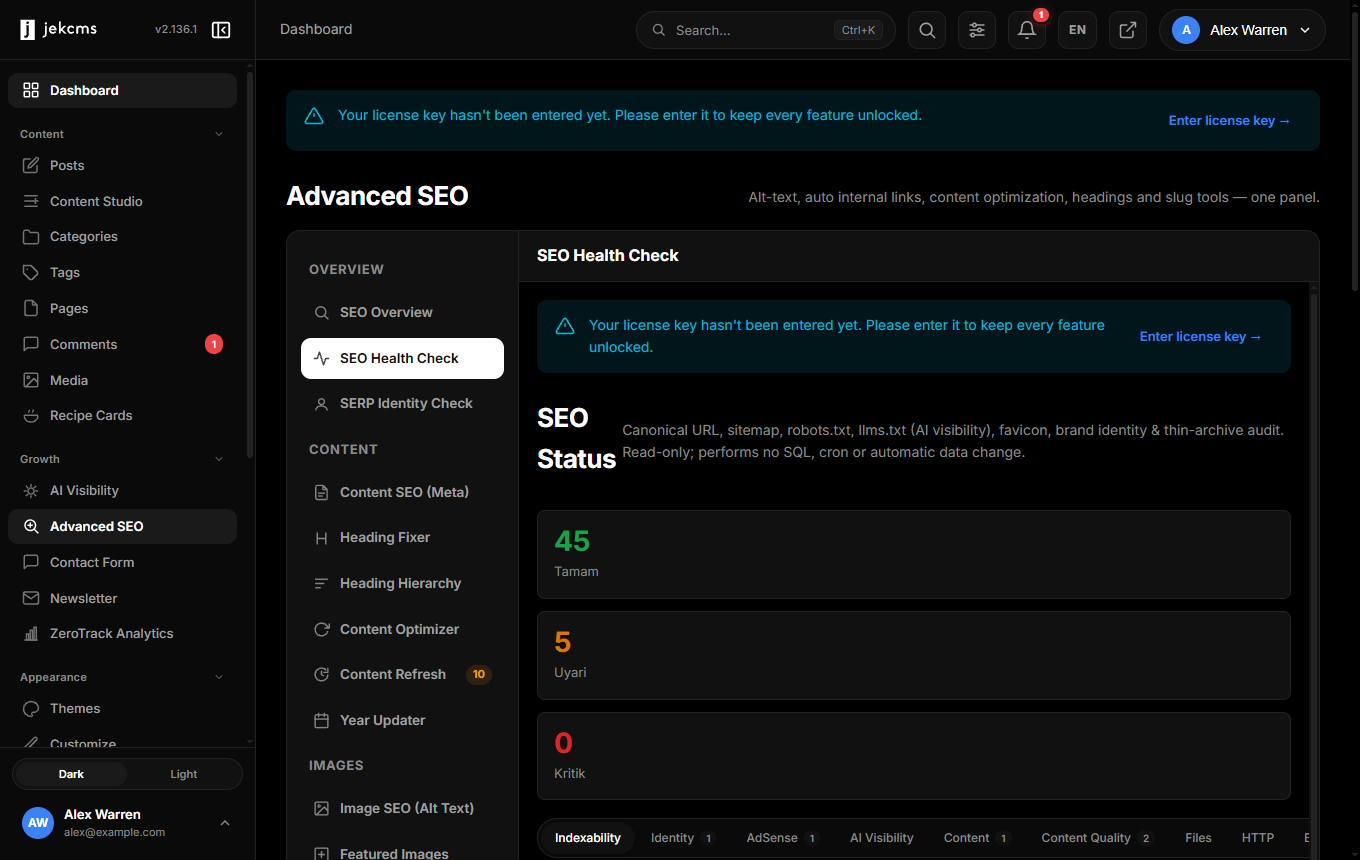 The Advanced SEO panel, with the health check among its tools