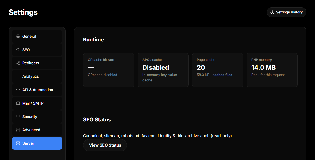 The Server tab of settings, showing the runtime numbers